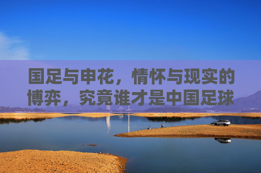 国足与申花,情怀与现实的博弈,究竟谁才是中国足球的标杆?