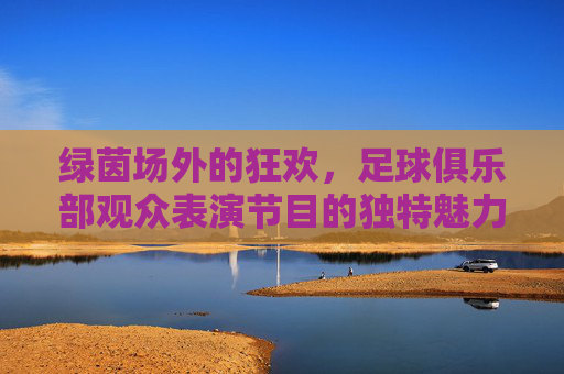 绿茵场外的狂欢,足球俱乐部观众表演节目的独特魅力