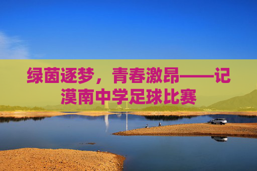 绿茵逐梦,青春激昂——记漠南中学足球比赛