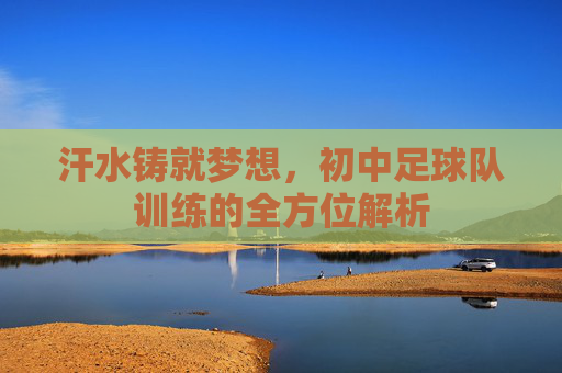 汗水铸就梦想,初中足球队训练的全方位解析