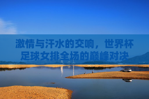 激情与汗水的交响,世界杯足球女排全场的巅峰对决