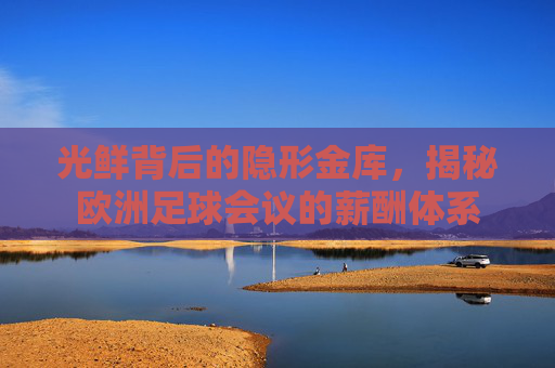 光鲜背后的隐形金库,揭秘欧洲足球会议的薪酬体系
