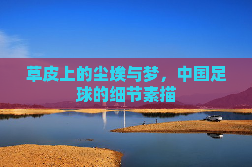 草皮上的尘埃与梦,中国足球的细节素描