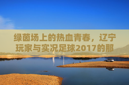 绿茵场上的热血青春,辽宁玩家与实况足球2017的那些日子