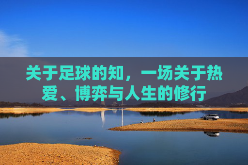 关于足球的知,一场关于热爱、博弈与人生的修行