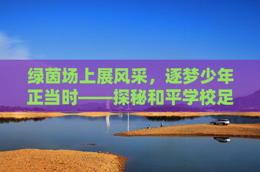 绿茵场上展风采,逐梦少年正当时——探秘和平学校足球怎么样