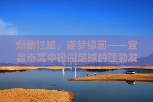 燃动江城,逐梦绿茵——宜昌市高中校园足球的蓬勃发展