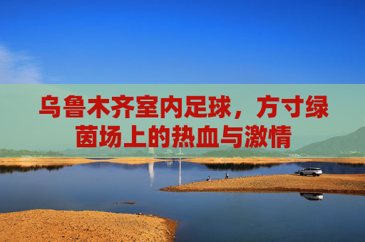 乌鲁木齐室内足球,方寸绿茵场上的热血与激情