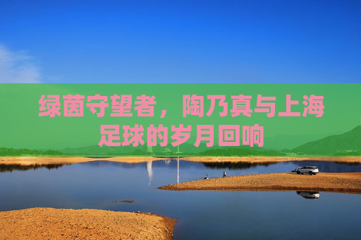 绿茵守望者,陶乃真与上海足球的岁月回响