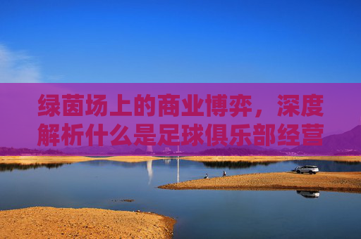 绿茵场上的商业博弈,深度解析什么是足球俱乐部经营