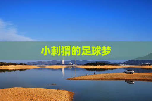 小刺猬的足球梦
