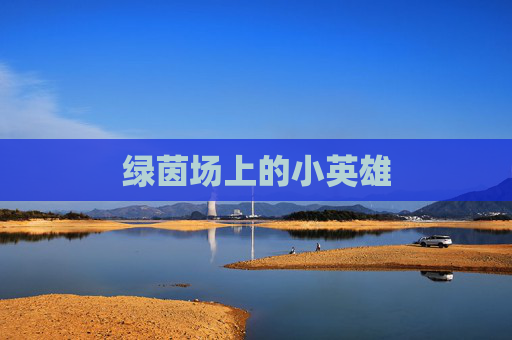 绿茵场上的小英雄
