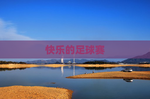 快乐的足球赛