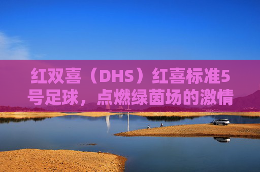 红双喜(DHS)红喜标准5号足球,点燃绿茵场的激情之选