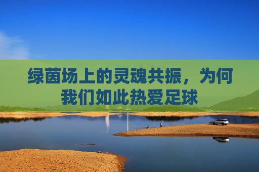 绿茵场上的灵魂共振,为何我们如此热爱足球