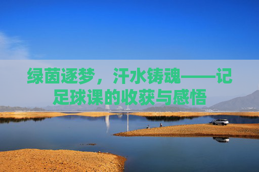 绿茵逐梦,汗水铸魂——记足球课的收获与感悟
