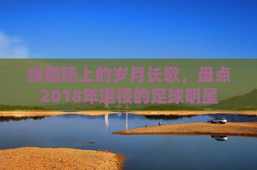 绿茵场上的岁月长歌,盘点2018年退役的足球明星