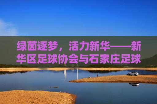 绿茵逐梦,活力新华——新华区足球协会与石家庄足球共舞