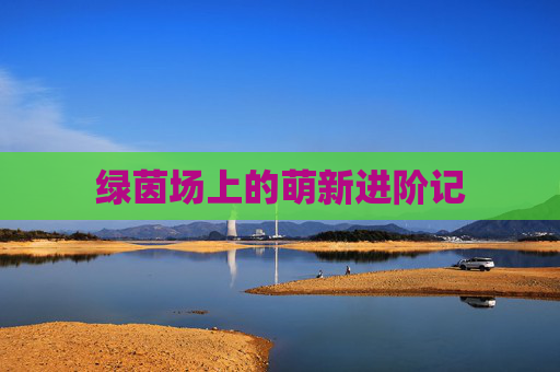 绿茵场上的萌新进阶记