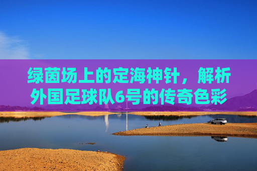 绿茵场上的定海神针,解析外国足球队6号的传奇色彩