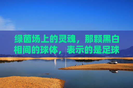 绿茵场上的灵魂，那颗黑白相间的球体，表示的是足球