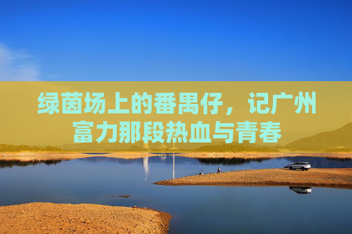 绿茵场上的番禺仔,记广州富力那段热血与青春