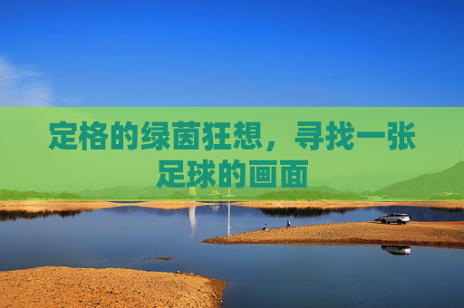 定格的绿茵狂想,寻找一张足球的画面
