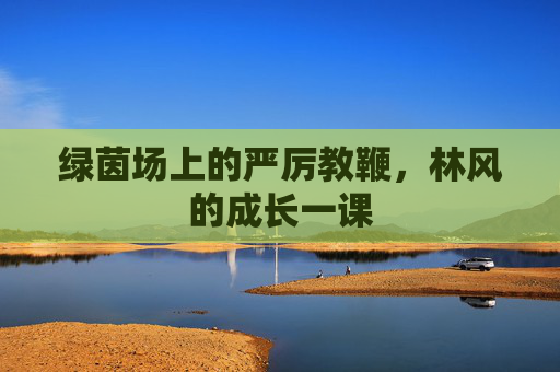 绿茵场上的严厉教鞭,林风的成长一课