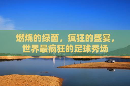 燃烧的绿茵,疯狂的盛宴,世界最疯狂的足球秀场