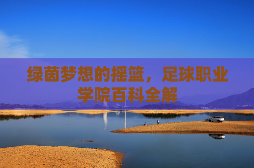 绿茵梦想的摇篮，足球职业学院百科全解