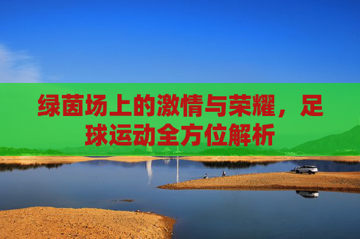 绿茵场上的激情与荣耀,足球运动全方位解析