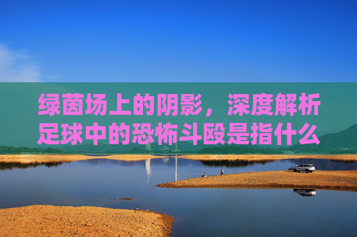 绿茵场上的阴影,深度解析足球中的恐怖斗殴是指什么