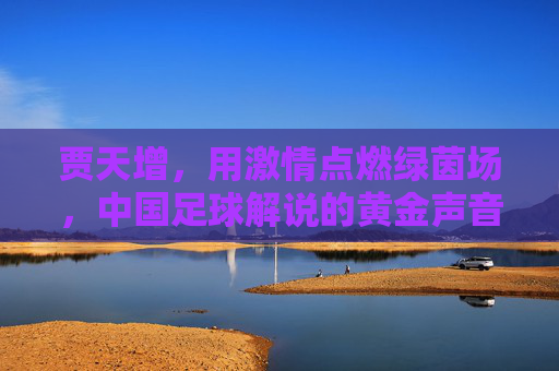 贾天增,用激情点燃绿茵场,中国足球解说的黄金声音