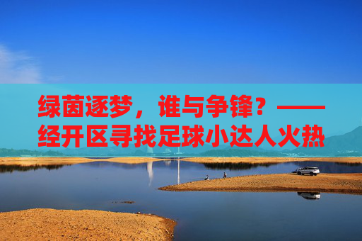 绿茵逐梦,谁与争锋?——经开区寻找足球小达人火热进行中