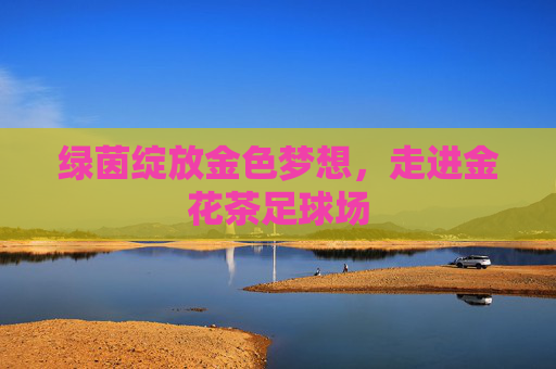 绿茵绽放金色梦想,走进金花茶足球场