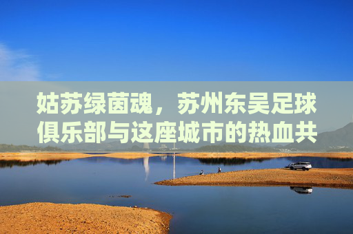 姑苏绿茵魂,苏州东吴足球俱乐部与这座城市的热血共鸣