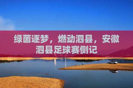 绿茵逐梦,燃动泗县,安徽泗县足球赛侧记