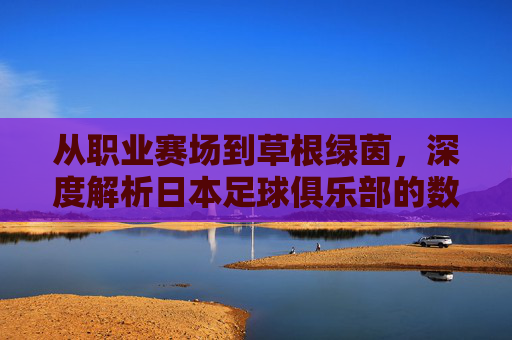 从职业赛场到草根绿茵,深度解析日本足球俱乐部的数量与体系