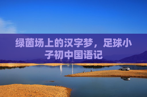 绿茵场上的汉字梦，足球小子初中国语记