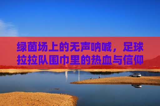 绿茵场上的无声呐喊,足球拉拉队围巾里的热血与信仰