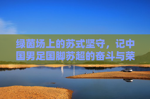 绿茵场上的苏式坚守，记中国男足国脚苏超的奋斗与荣光