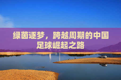 绿茵逐梦，跨越周期的中国足球崛起之路