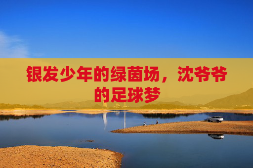 银发少年的绿茵场,沈爷爷的足球梦