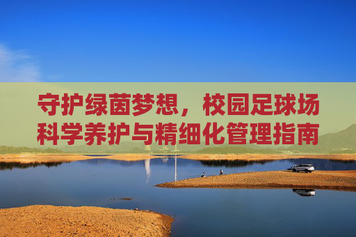 守护绿茵梦想,校园足球场科学养护与精细化管理指南