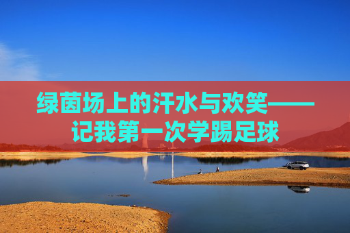 绿茵场上的汗水与欢笑——记我第一次学踢足球