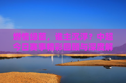 燃情绿茵,谁主沉浮?中超今日赛事精彩回顾与深度解析