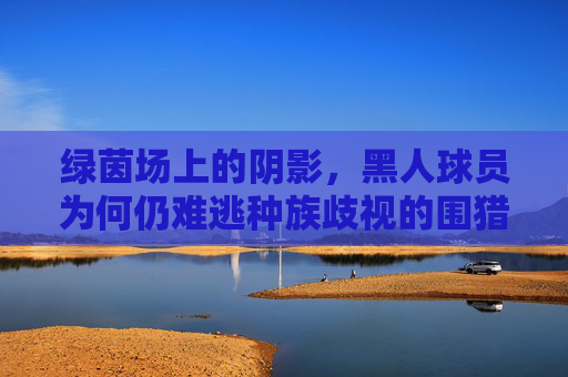 绿茵场上的阴影，黑人球员为何仍难逃种族歧视的围猎
