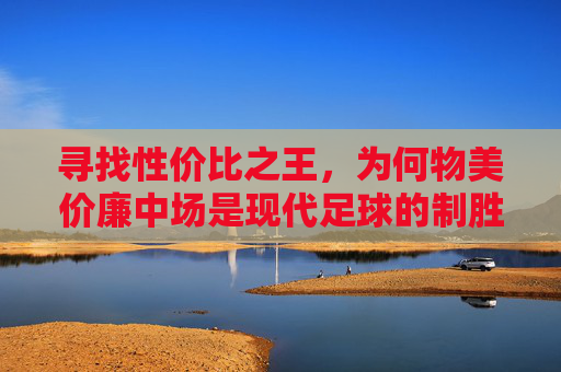 寻找性价比之王,为何物美价廉中场是现代足球的制胜法宝