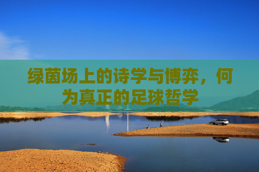 绿茵场上的诗学与博弈,何为真正的足球哲学