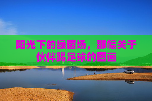 阳光下的绿茵场,那幅关于伙伴踢足球的图画